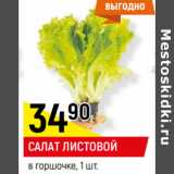 Магазин:Верный,Скидка:САЛАТ ЛИСТОВОЙ
в горшочке