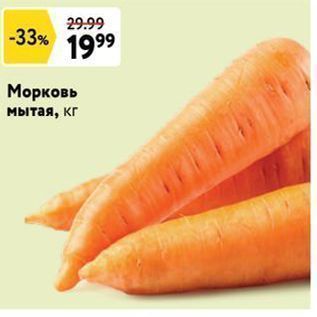 Акция - Морковь мытая, кг