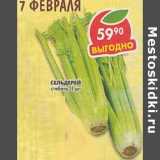 Магазин:Пятёрочка,Скидка:Сельдерей, стебель