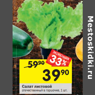 Акция - Салат листовой