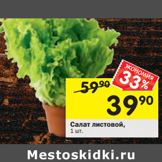 Акция - Салат листовой