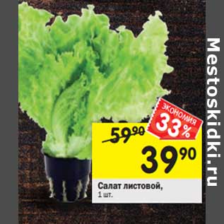 Акция - Салат листовой