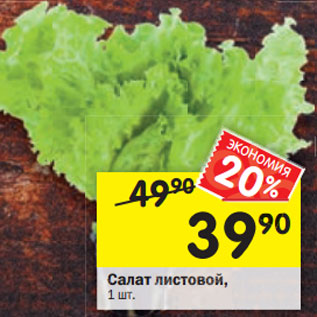 Акция - Салат листовой