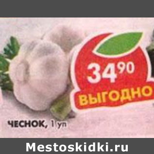 Акция - Чеснок 1уп