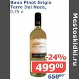 Мой магазин Акции - Вино Pinot Grigio Terre Del Noce 