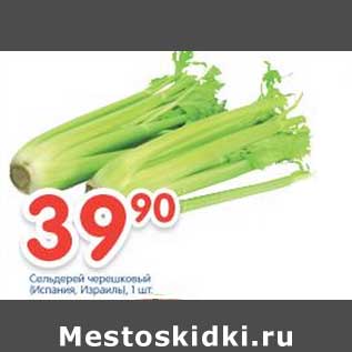 Акция - Сельдерей черешковый