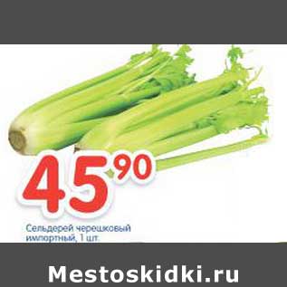 Акция - Сельдерей черешковый