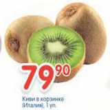 КИВИ В КОРЗИНКЕ ИТАЛИЯ 1 уп