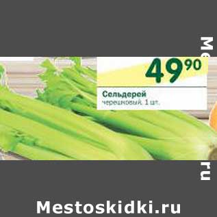 Акция - Сельдерей