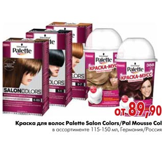 Акция - Краска для волос Palette Salon Colors/Pal Mousse Col