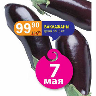 Акция - БАКЛАЖАНЫ