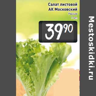 Акция - Салат листовой АК Московский