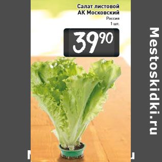 Акция - Салат листовой АК Московский
