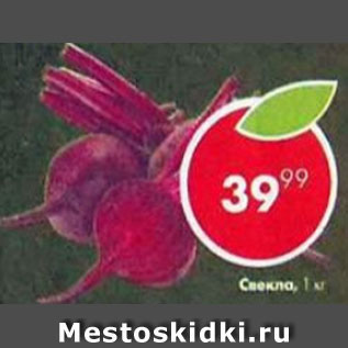Акция - Свекла