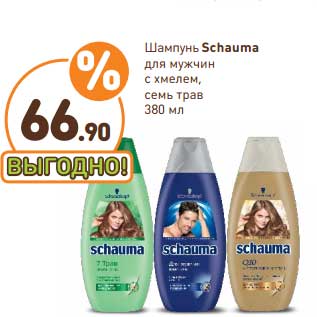 Акция - Шампунь Schauma