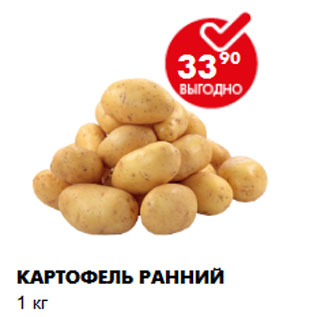 Акция - Картофель ранний