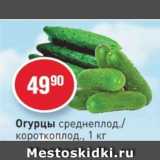 Магазин:Авоська,Скидка:Огурцы среднеплод./короткоплод.