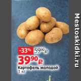Магазин:Виктория,Скидка:Картофель молодой
1 кг