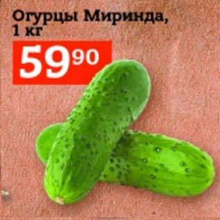 Акция - Огурцы Миринда