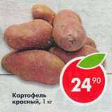 Магазин:Пятёрочка,Скидка:картофель красный