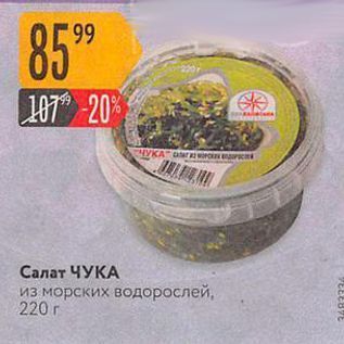 Акция - Салат ЧУКА