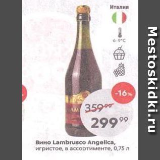 Акция - Вино Lambrusco Angelica