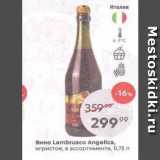 Пятёрочка Акции - Вино Lambrusco Angelica