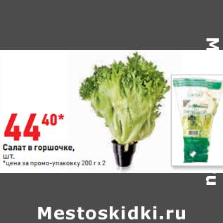 Акция - Салат в горшочке