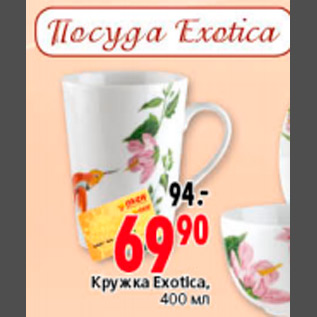 Акция - КРУЖКА EXOTICA