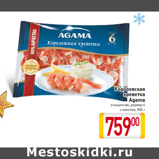 Акция - Королевская креветка Agama