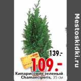 Магазин:Окей,Скидка:Кипарисовик зеленый
Chamaeciperis, 35 см