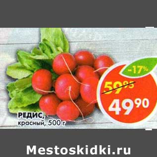 Акция - Редис, красный