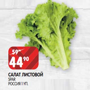 Акция - Салат листовой Spar
