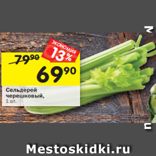 Акция - Сельдерей черешковый, 1 шт.