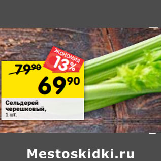 Акция - Сельдерей черешковый, 1 шт.