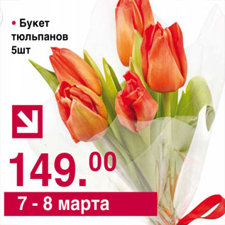 Акция - Букет тюльпанов 5шт