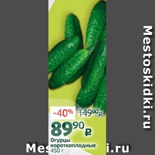 Акция - Огурцы короткоплодные 450 г