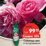 Магазин:Карусель,Скидка:Саженцы роз 