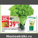 Магазин:Окей,Скидка:Салат в горшочке