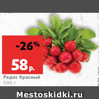 Акция - Редис красный