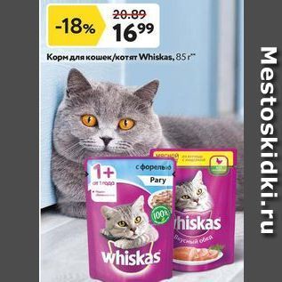 Акция - Корм для кошек котят Whiskas