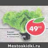 Магазин:Пятёрочка,Скидка:салат листовой в горшочке