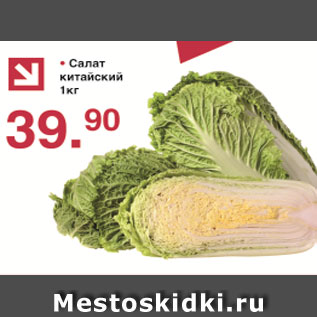 Акция - Салат китайский