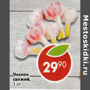 Акция - Чеснок свежий