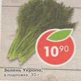 Магазин:Пятёрочка,Скидка:Зелень Укропа в подложке 