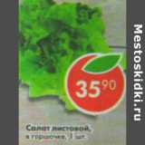Магазин:Пятёрочка,Скидка:Салат листовой в горшочке 