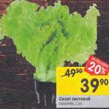 Магазин:Перекрёсток,Скидка:Салат листовой горшочек