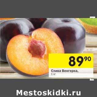 Акция - Слива Венгерка