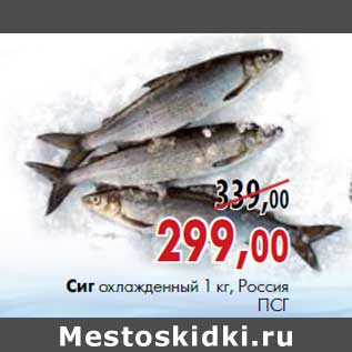 Акция - Сиг охлажденный потрошеный с/г 1 кг, Россия