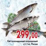 Магазин:Седьмой континент,Скидка:Сиг охлажденный потрошеный с/г 1 кг, Россия
